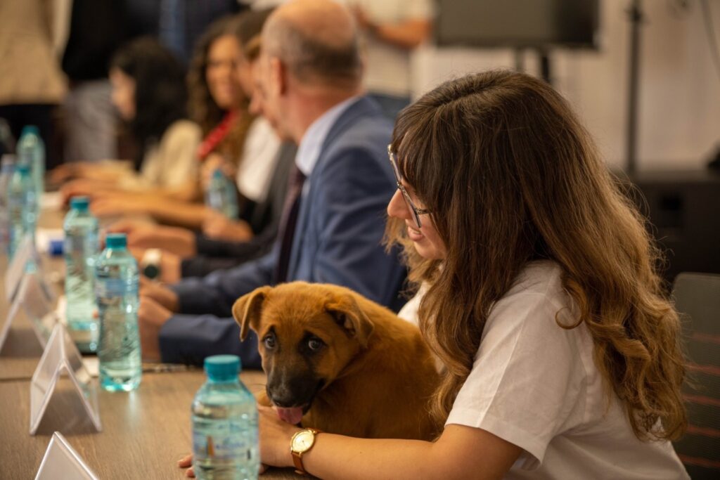 Dezbatere la Palatul Parlamentului: „Eficiență și umanitate – cum gestionăm corect problemele dintre oameni și animale”