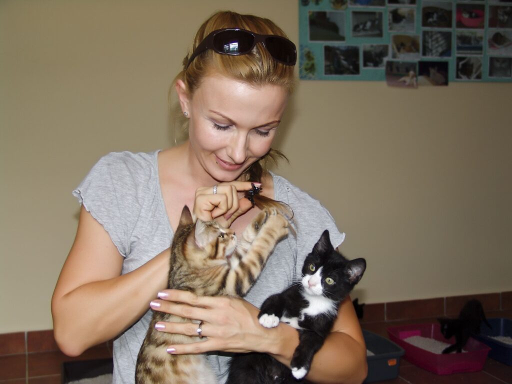 300 de pisici, sterilizate gratuit | „Primăvară cu prevenție, nu cu pui la sac”