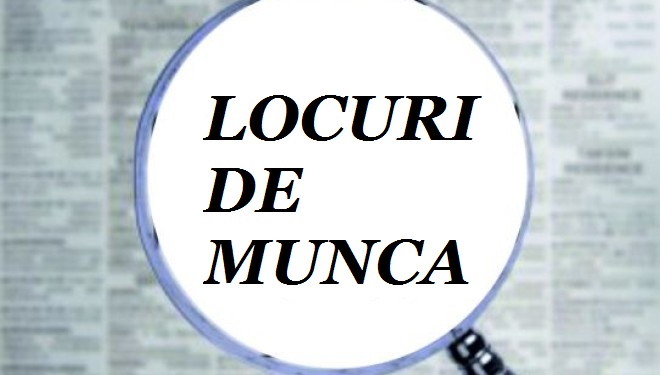 Peste 7.200 locuri de muncă vacante în Capitală, în perioada 8-15 aprilie 2026
