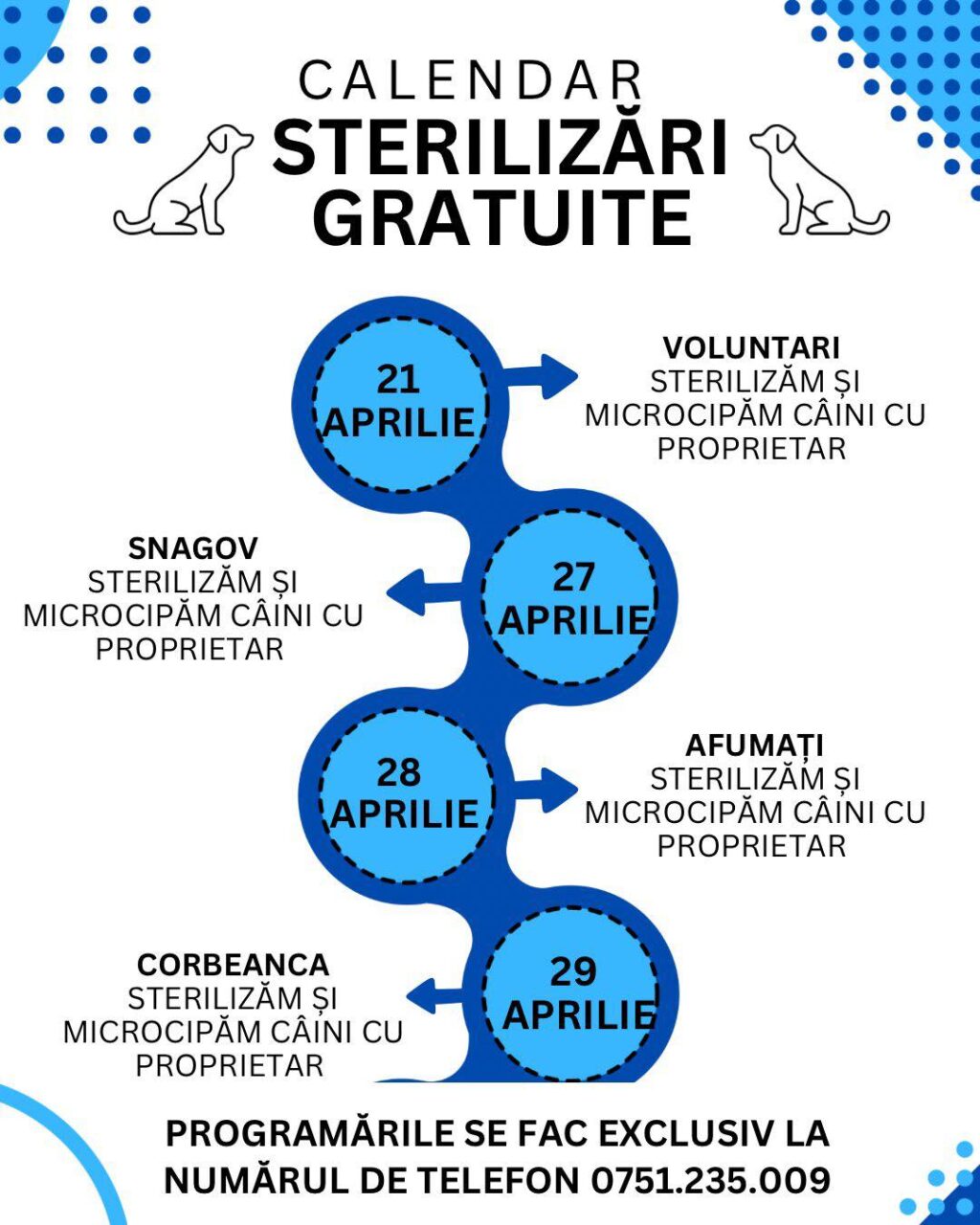În Ilfov, sterilizări gratuite pentru câinii cu deținător. Programul campaniei