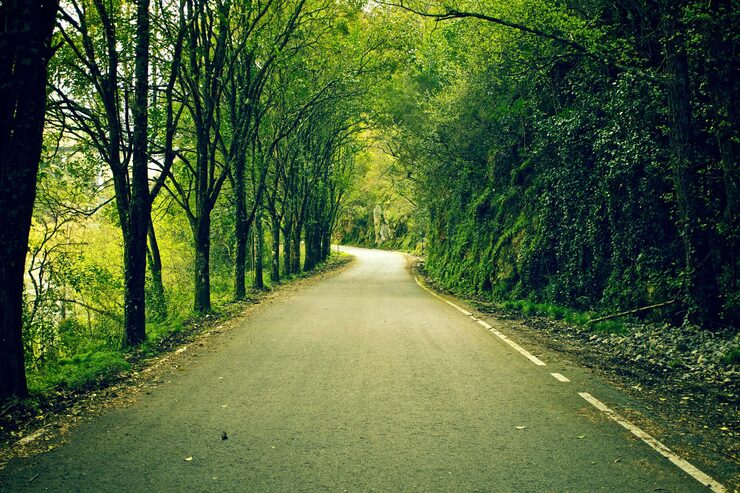 Buget de 500.000 de lei pentru proiectul Centura Verde Bucureşti-Ilfov